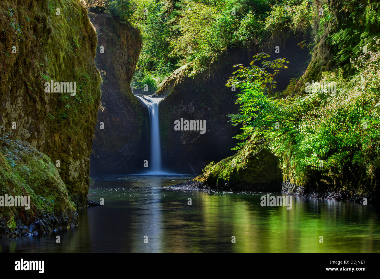 Conca scende lungo Eagle Creek Trail, Columbia River Gorge, Oregon, Stati Uniti d'America Foto Stock