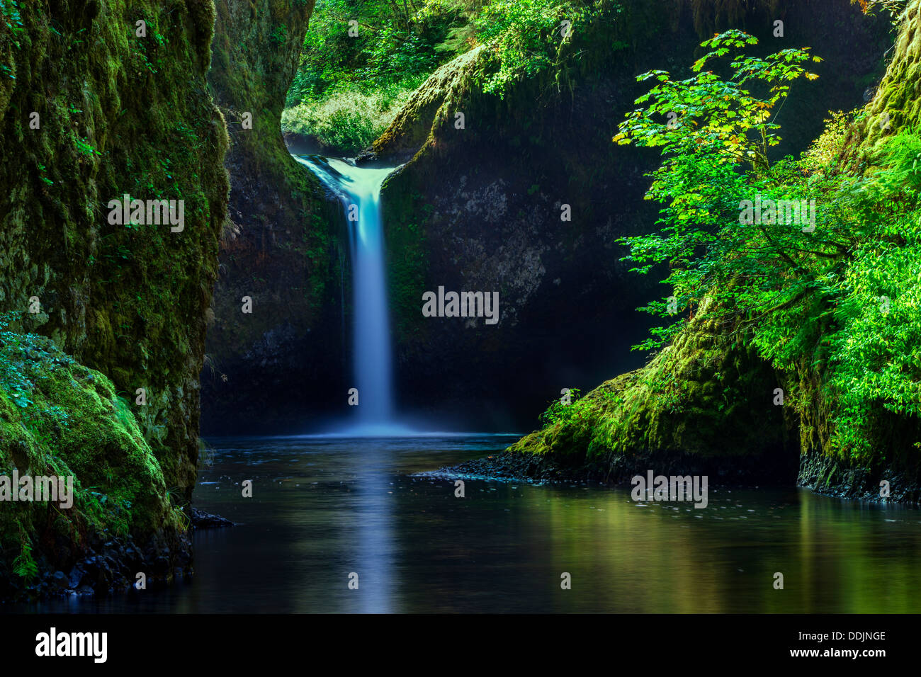 Conca scende lungo Eagle Creek Trail, Columbia River Gorge, Oregon, Stati Uniti d'America Foto Stock