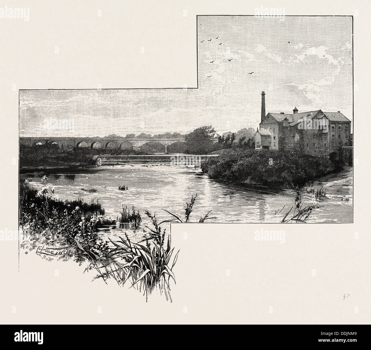 Tadcaster è una città di mercato e parrocchia civile nel distretto di Selby del North Yorkshire, Inghilterra. Regno Unito Foto Stock