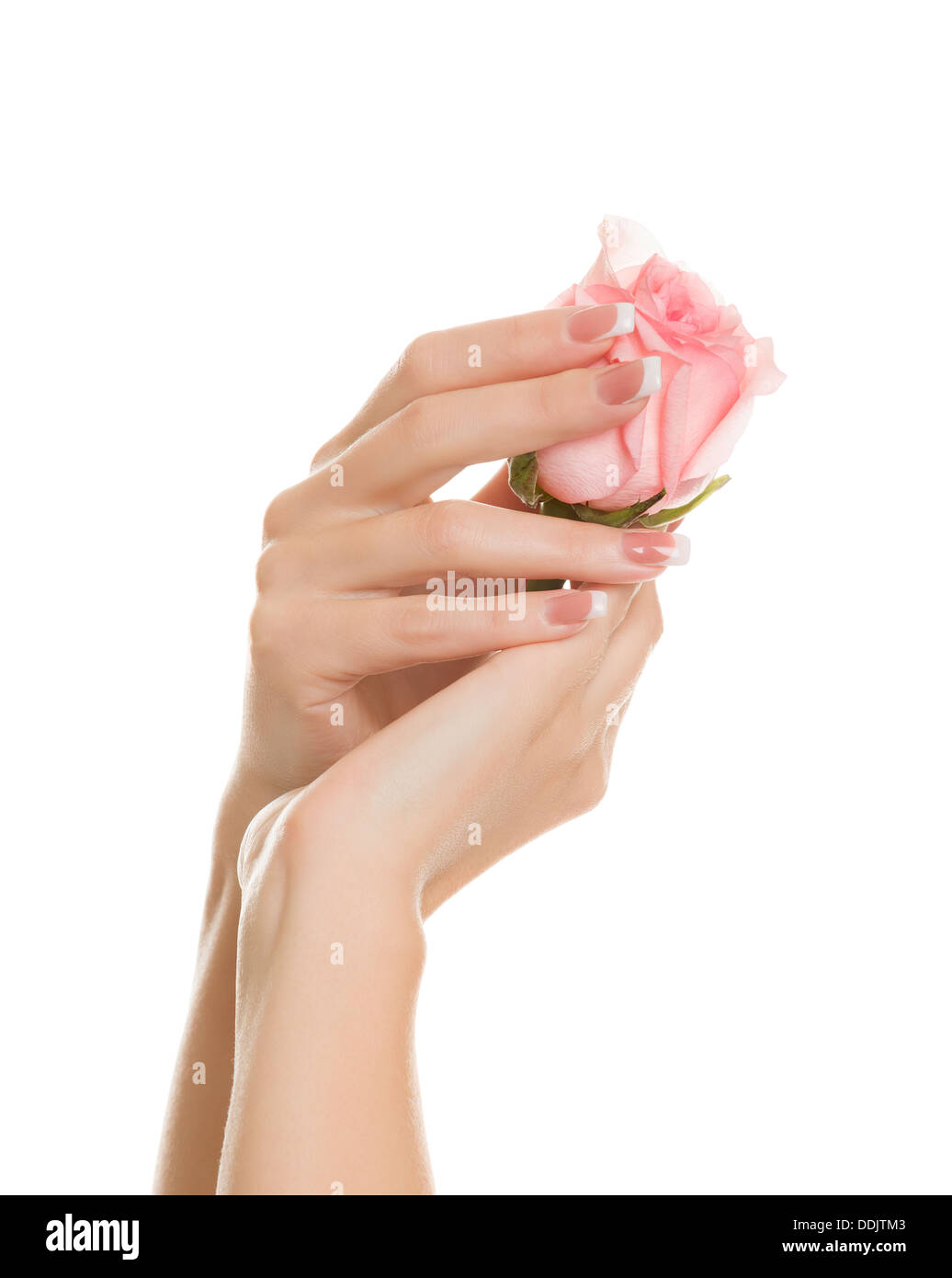 Le mani delle donne con una rosa Foto Stock