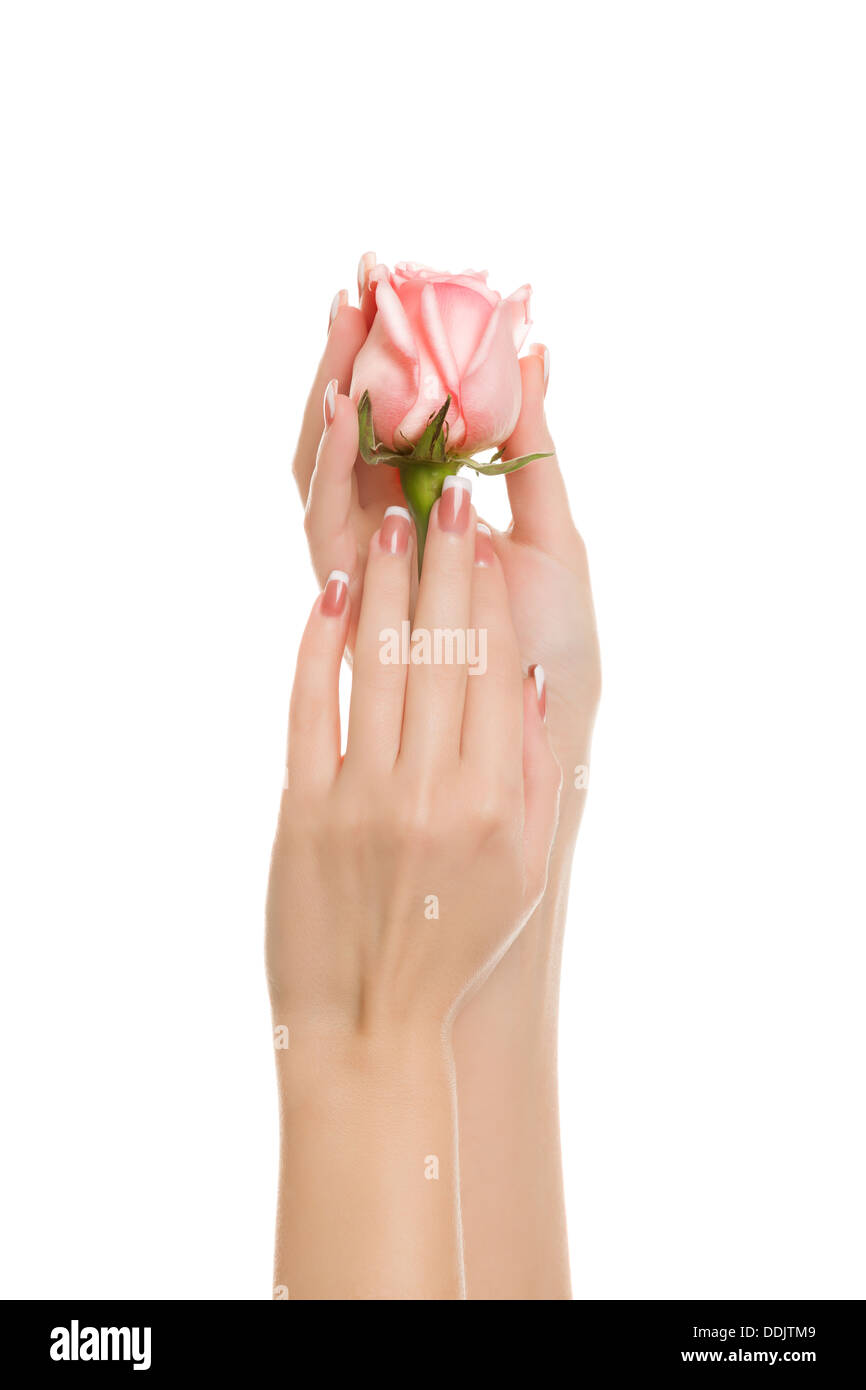 Le mani delle donne con una rosa Foto Stock