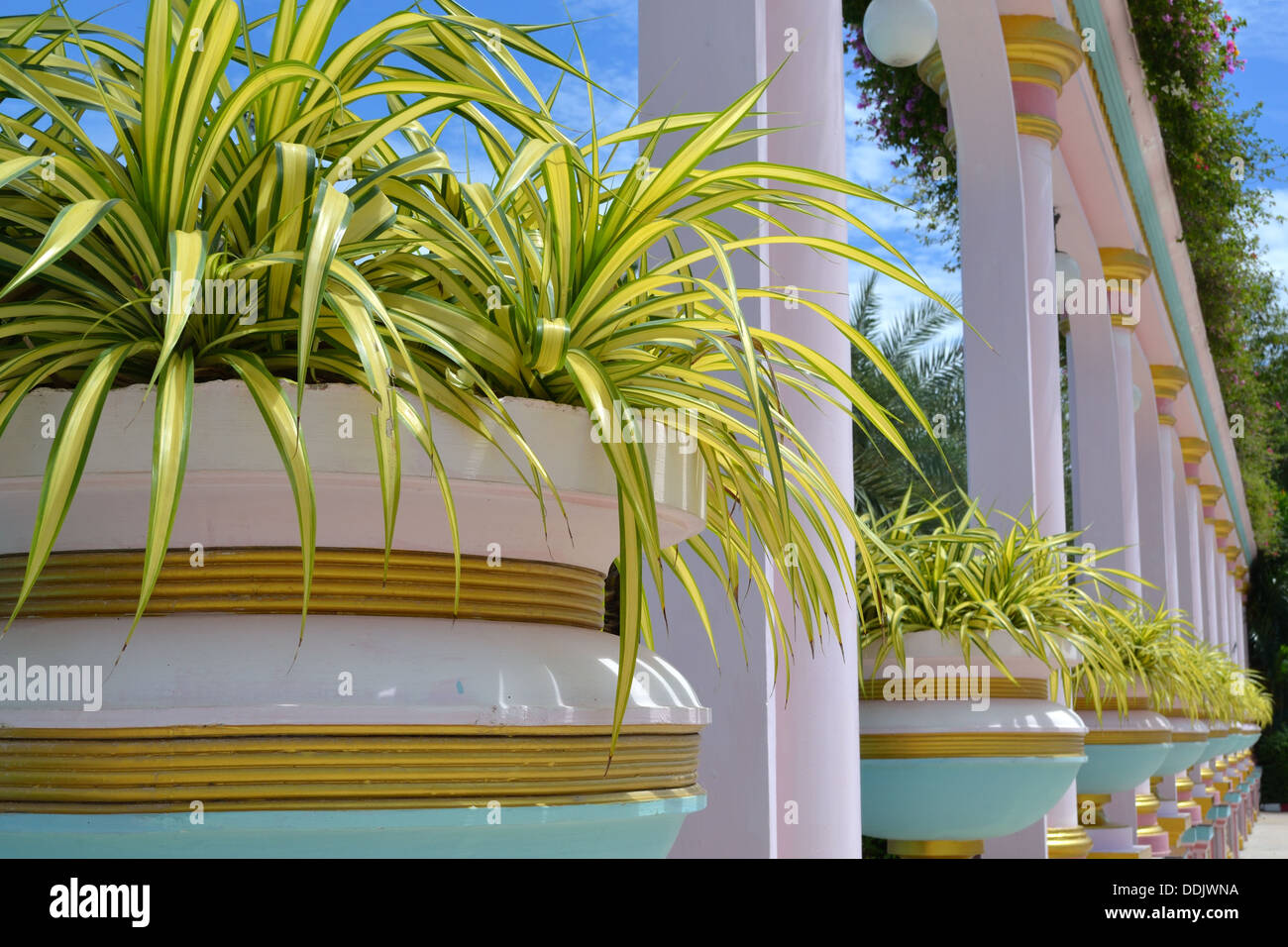 Ornamentali vasi piantate a Sukhawadee Mansion - edificio colorato Pattaya Foto Stock