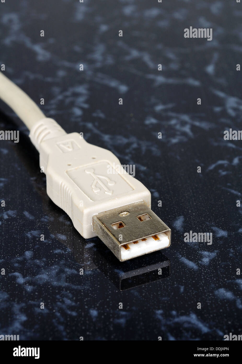 Connettore USB di tipo A e cavo contro uno sfondo scuro. Foto Stock