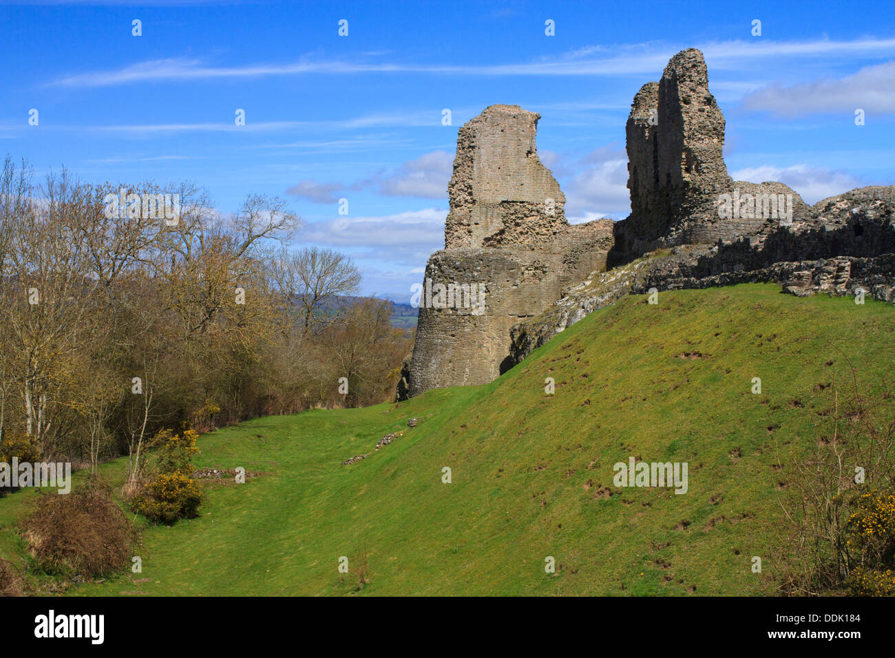 Rovine del Castello di Montgomery, MONTGOMERY, POWYS, GALLES. Aprile. Foto Stock