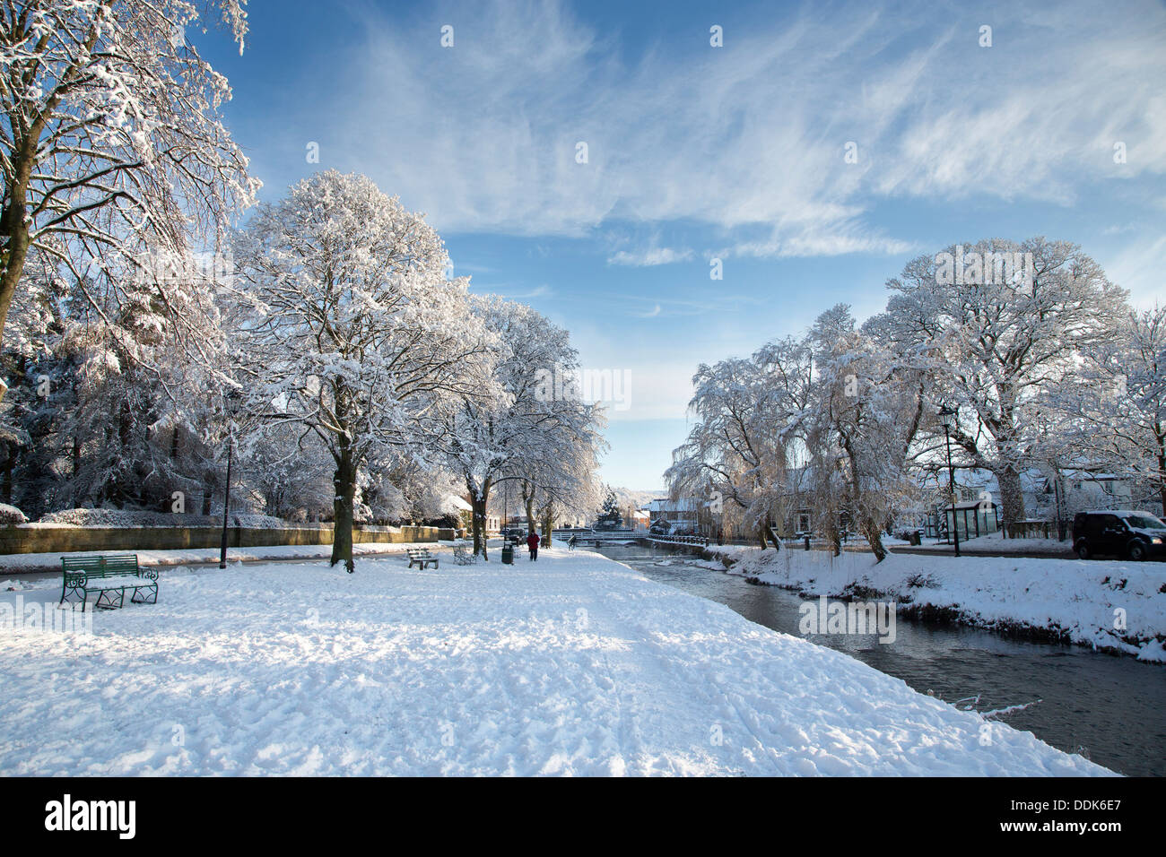 Grande Ayton bassa verde nella neve Foto Stock