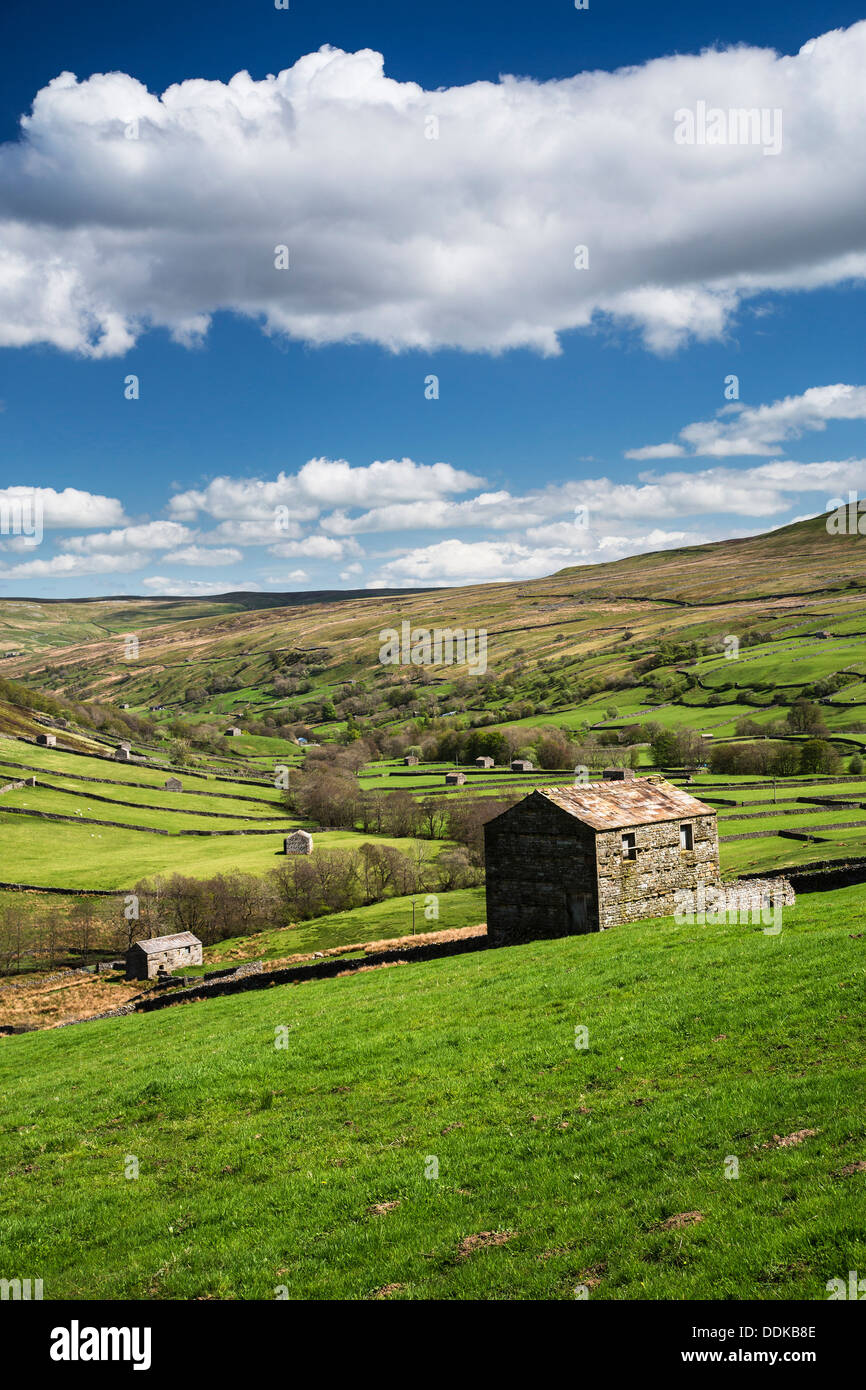 Swaledale superiore vicino Thwaite, Yorkshire Dales National Park Foto Stock