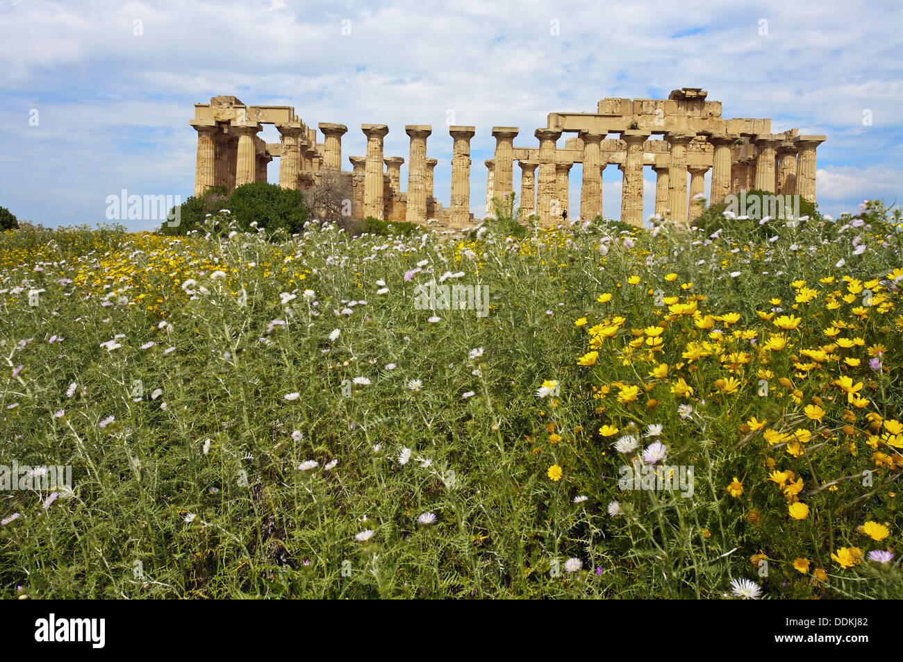 Rovine del tempio greco del VII secolo A.C. Provincia di Trapani, Selinunte, Sicilia, Italia Foto Stock