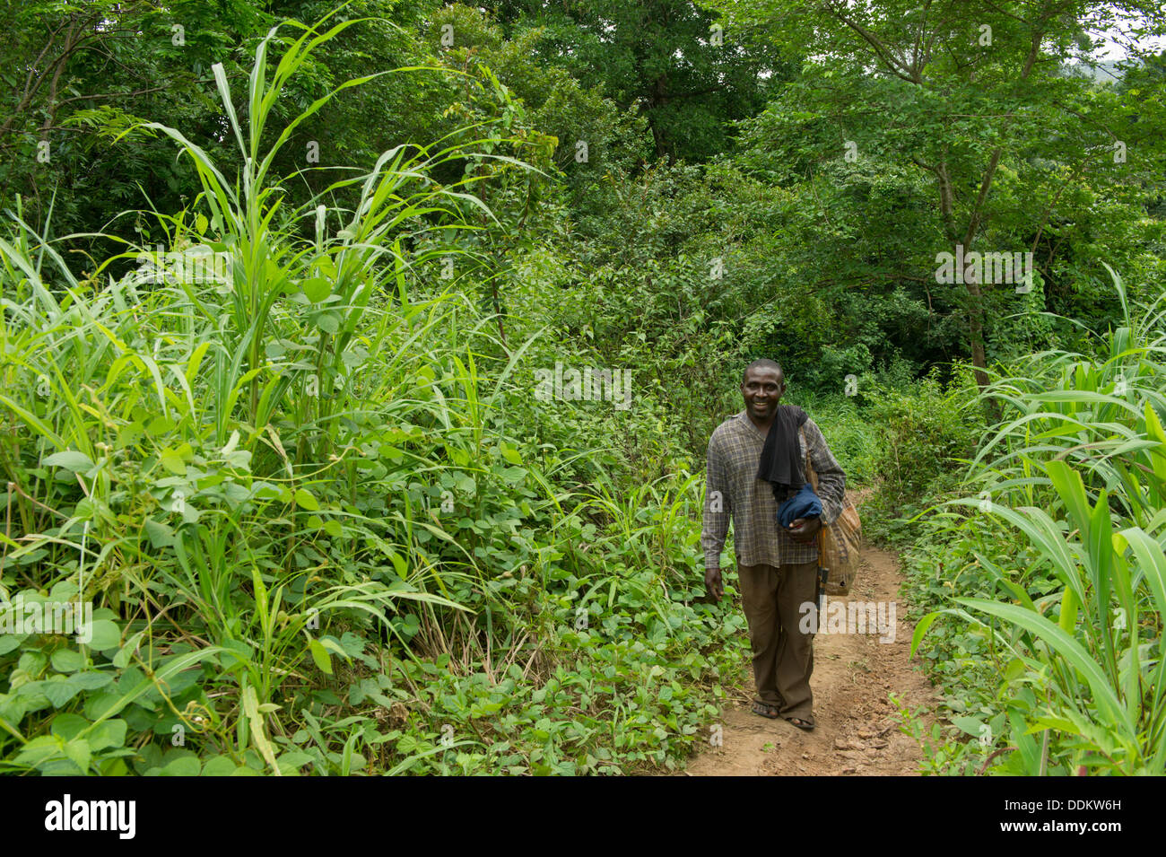 Modalità pedonale su un sottile percorso attraverso la rigogliosa vegetazione in Otutulu, Nigeria Foto Stock