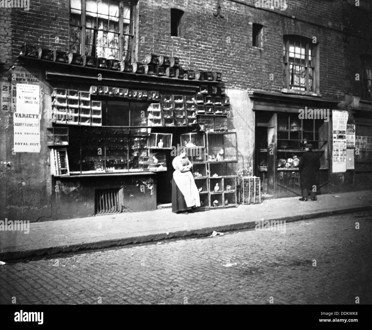 Domenica fiera degli uccelli, Sclater Street, Off Brick Lane, Londra, 1900s. Artista: John Galt Foto Stock