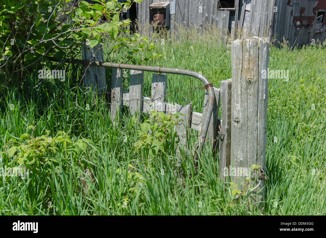 Il vecchio di legno ricoperta di post con cancello sulla azienda abbandonata. Foto Stock