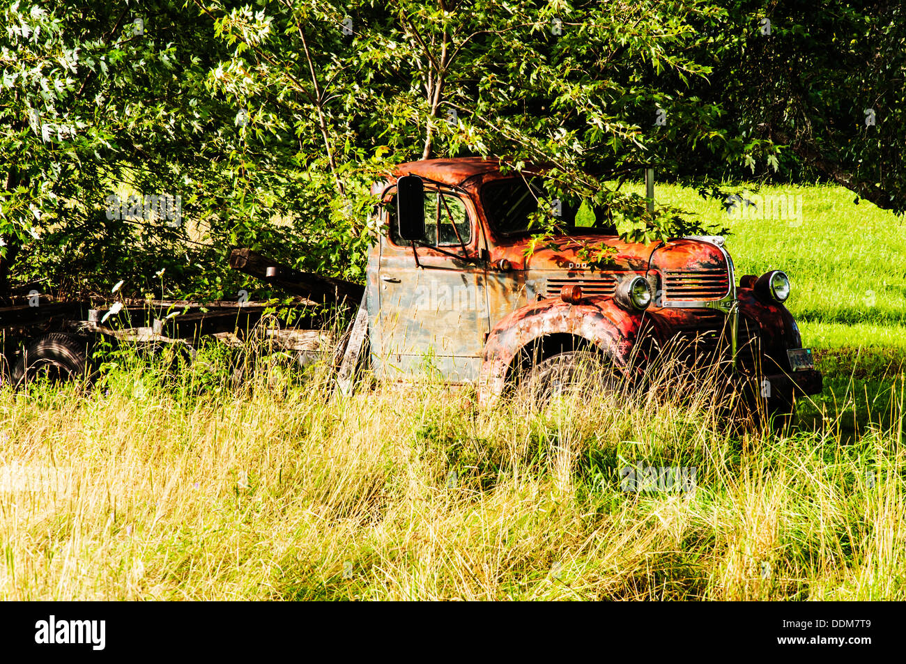 Vecchia auto demolizione in campagna nel Maine, Stati Uniti d'America Foto Stock