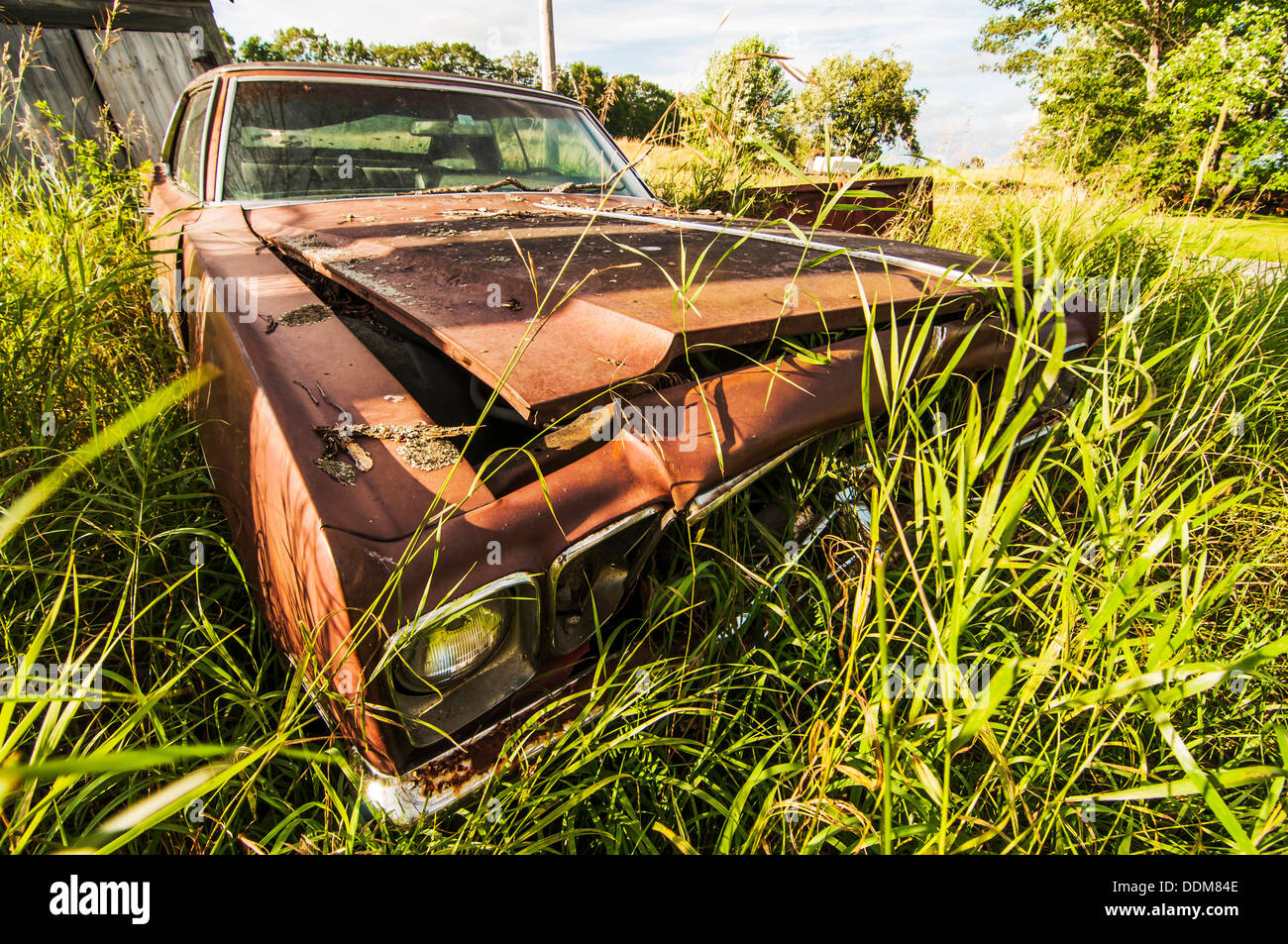 Vecchia auto demolizione in campagna nel Maine, Stati Uniti d'America Foto Stock