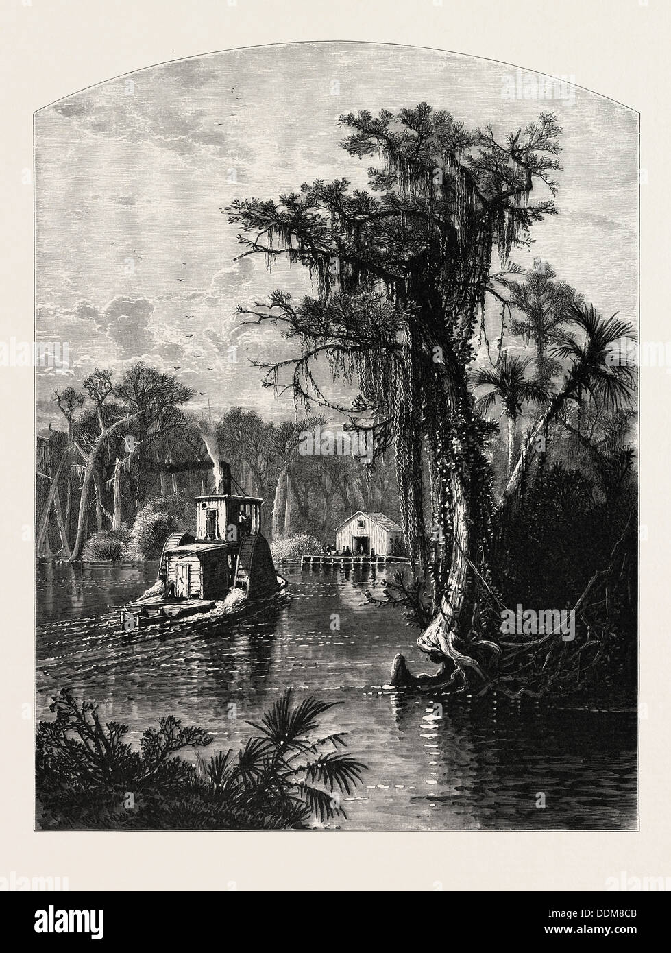 SILVER SPRING, Florida. J.D. WOODWARD. Silver Springs è una U.S. luogo abitato e la molla in Marion County, Florida Foto Stock