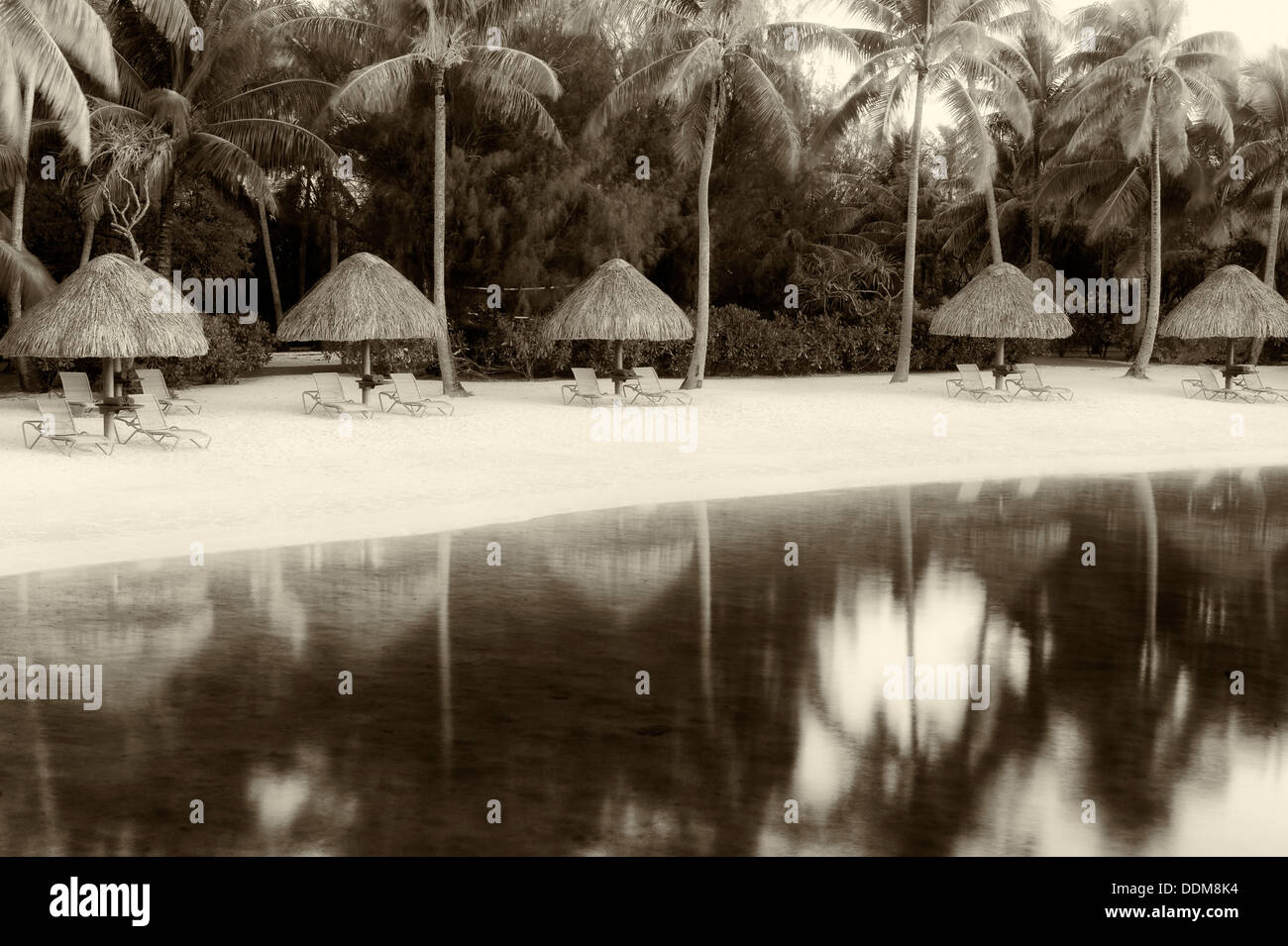 Unbrellas e sedie a sdraio sulla spiaggia della laguna. Bora Bora. Polinesia francese. Foto Stock