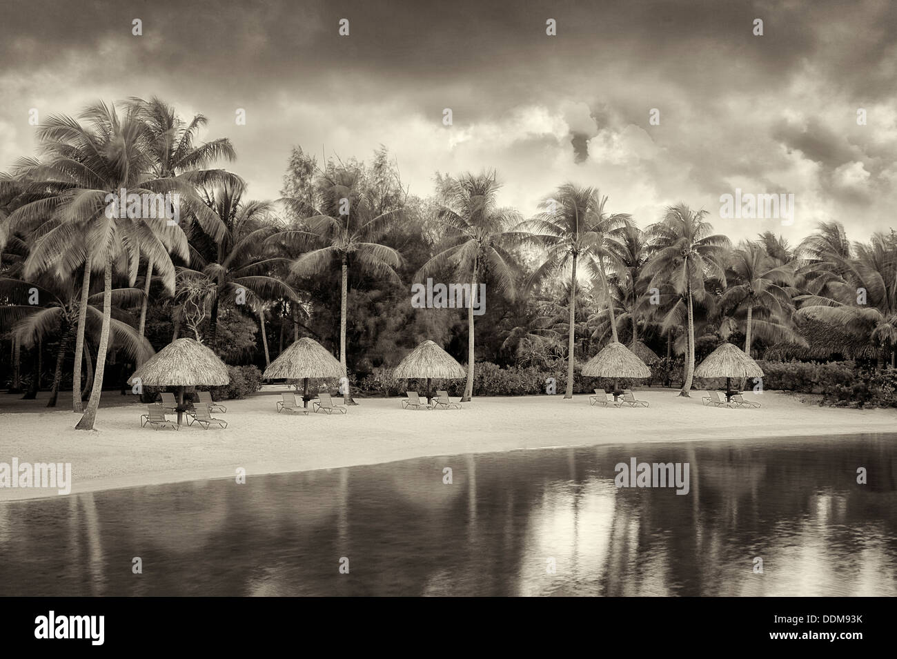 Unbrellas e sedie a sdraio sulla spiaggia della laguna. Bora Bora. Polinesia francese. Foto Stock