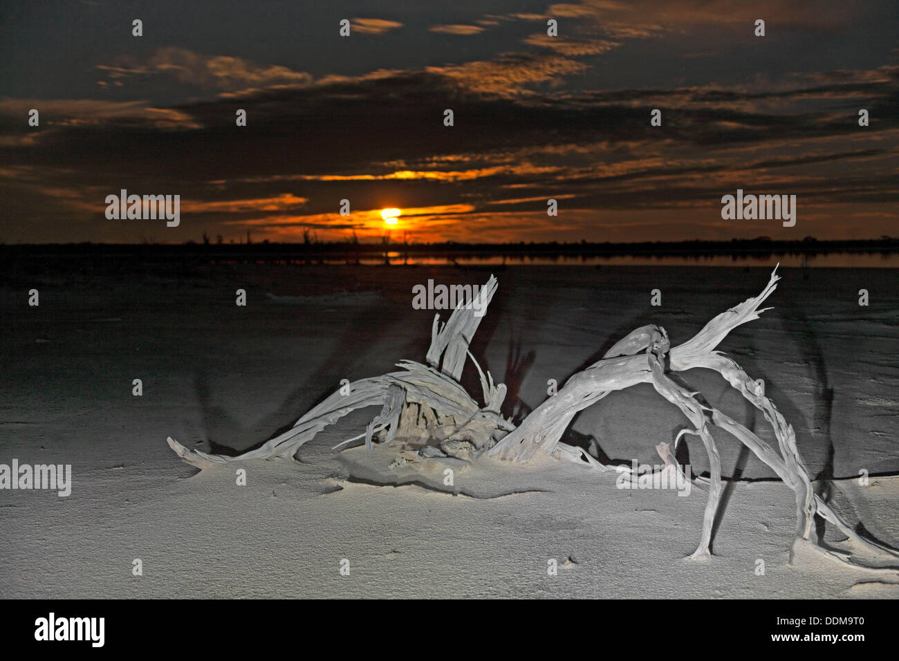 Il lago di Ninan Salt Lake, Victoria Plains Western Australia Foto Stock