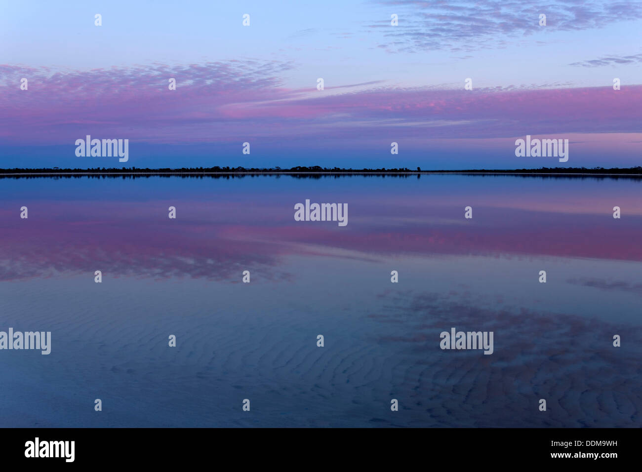 Il lago di Ninan Salt Lake, Victoria Plains Western Australia Foto Stock