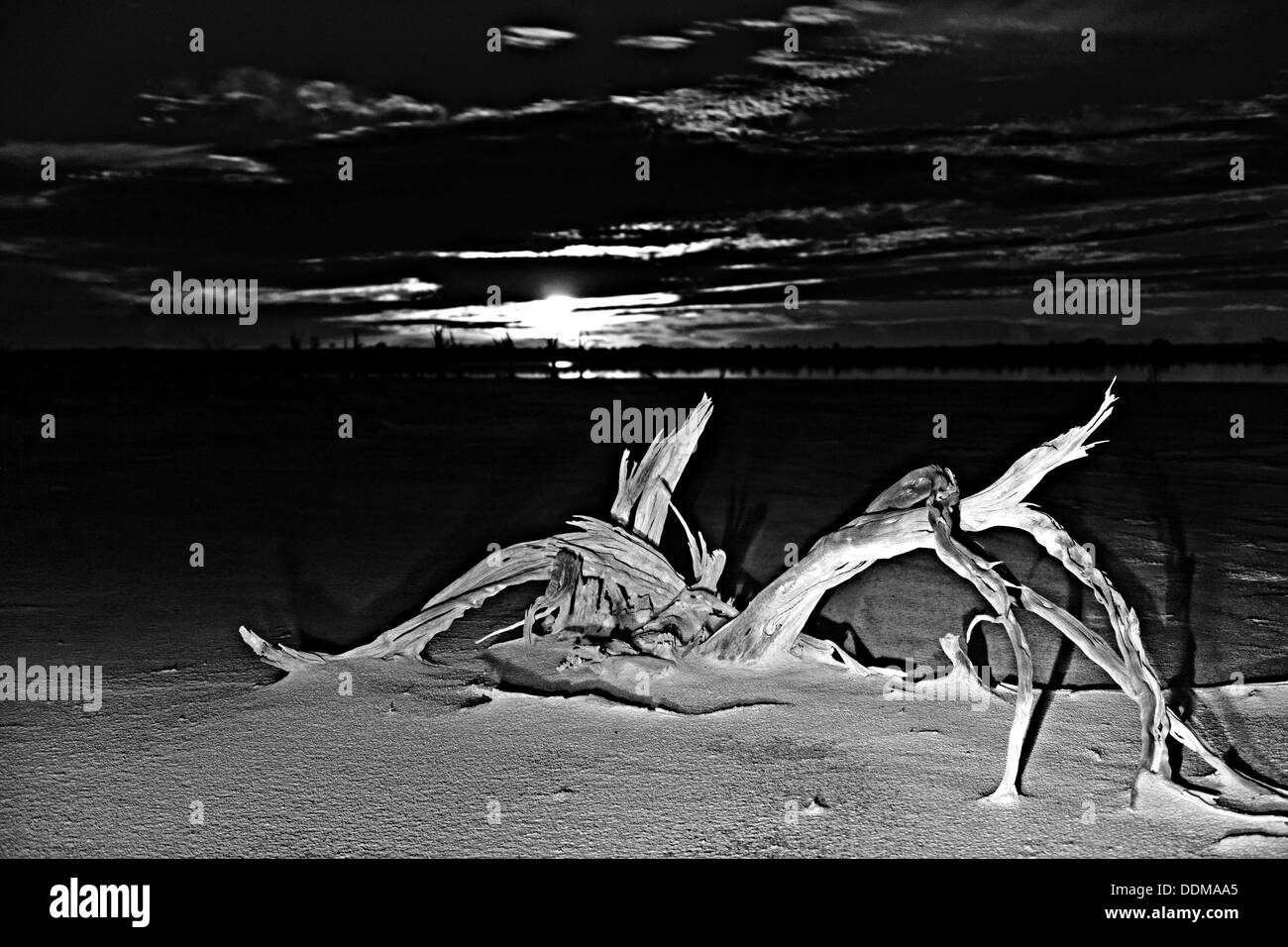 Il lago di Ninan Salt Lake, Victoria Plains Western Australia Foto Stock