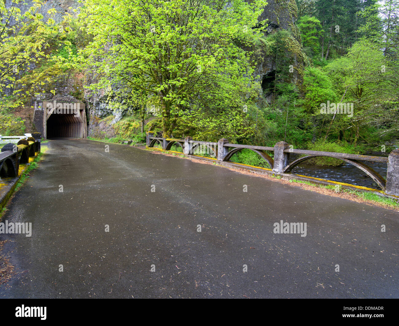 Vecchio Columbia River Higghway e tunnel. Columbia River Gorge National Scenic Area. Oregon Foto Stock