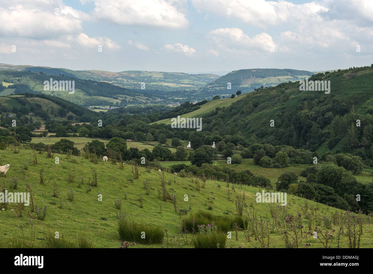 Valle Cledan tende Tepee sito vicino a Carno in Powys, Galles. Cambrian montagne sullo sfondo. Foto Stock