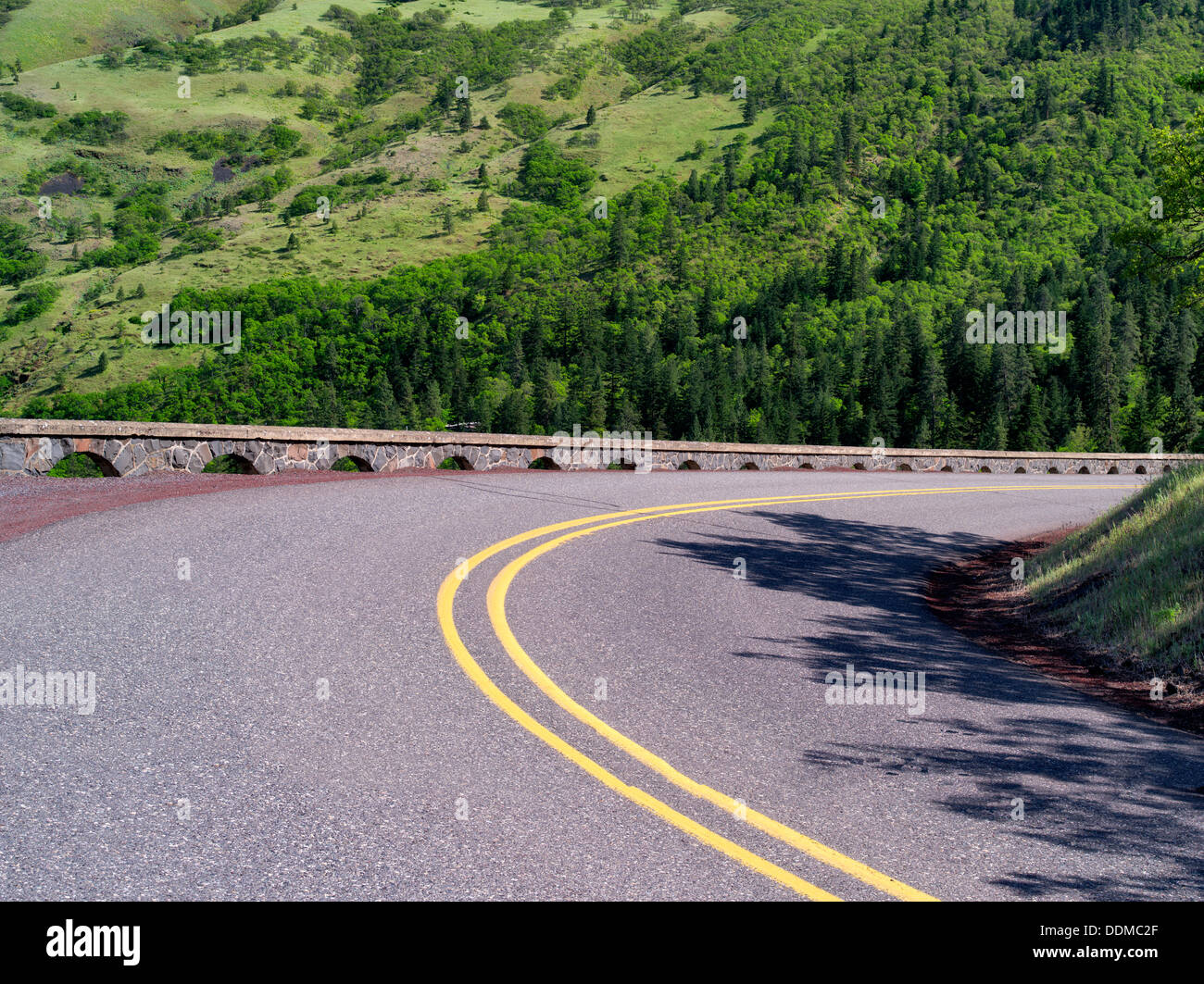 Strada in Columbia River Gorge National Scenic Area, Oregon Foto Stock