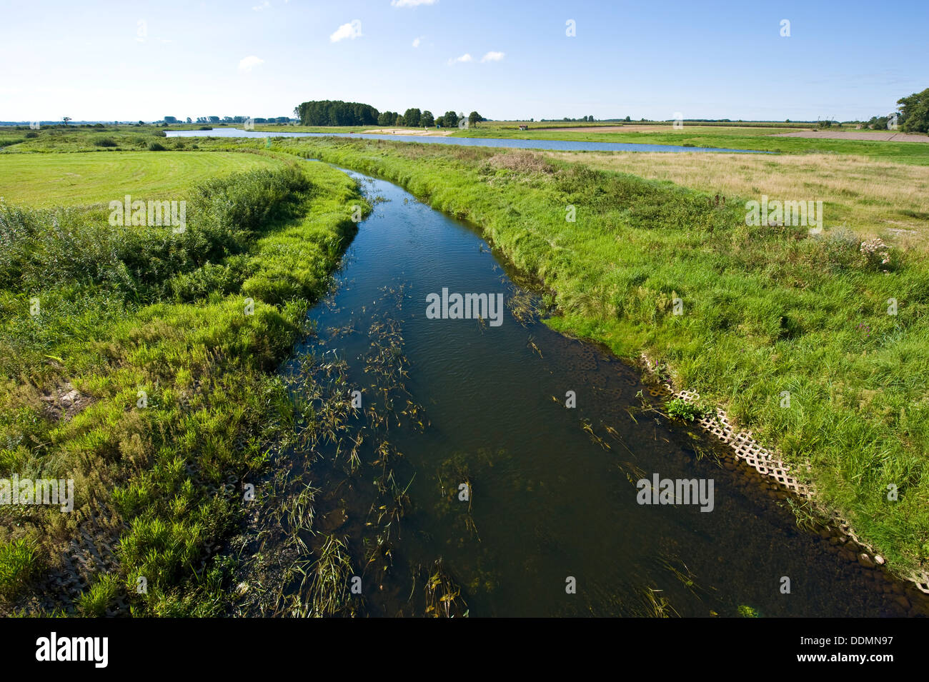 Tipico paesaggio rurale nella valle del fiume Biebrza in Polonia nord-orientale. Foto Stock