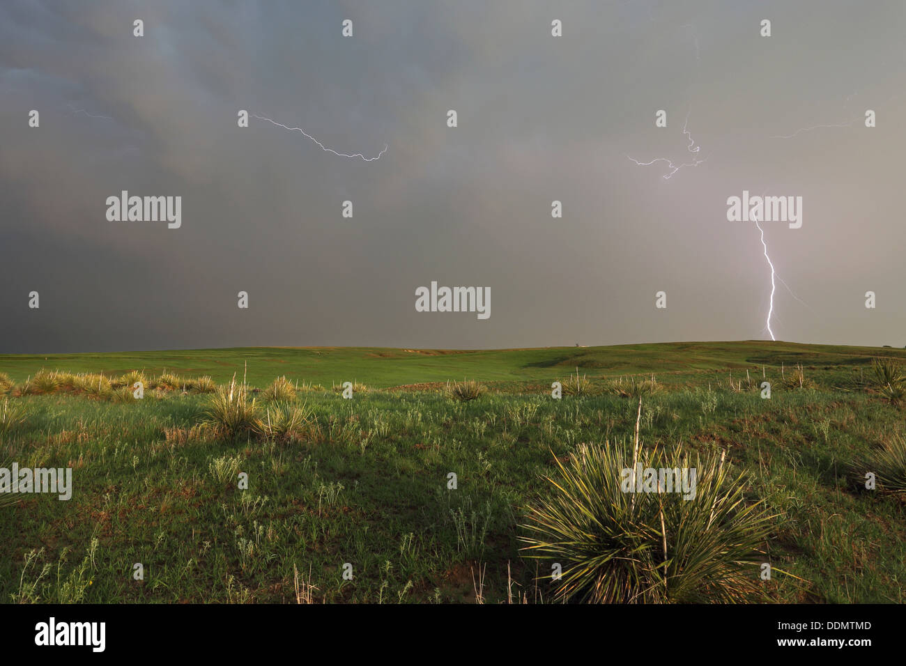 Un fulmine sulla Kansas Prairie Foto Stock Un fulmine sulla Kansas Prairie Foto Stock