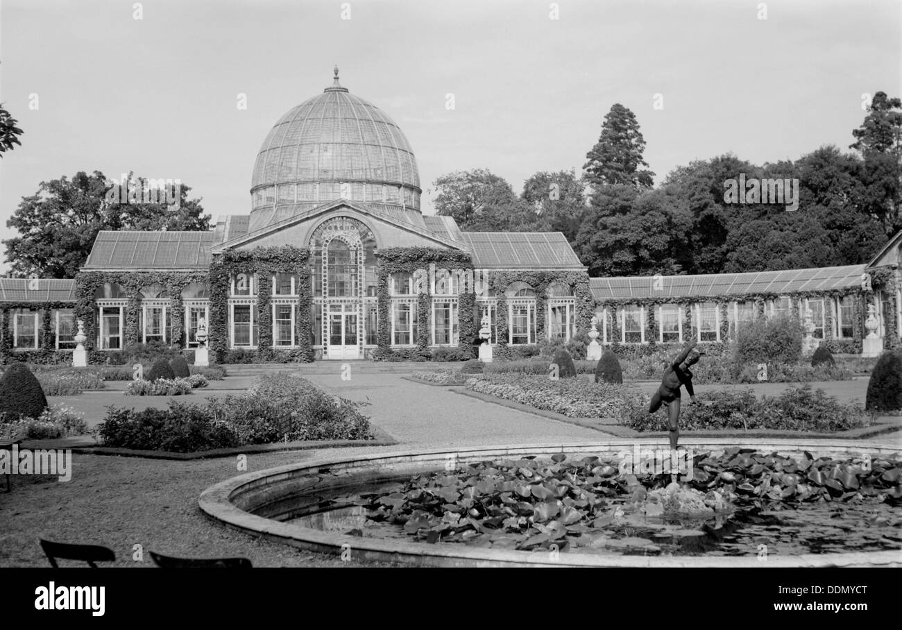 Conservatorio a Syon House, Isleworth, Londra, C1945-c1965. Artista: SW Rawlings Foto Stock