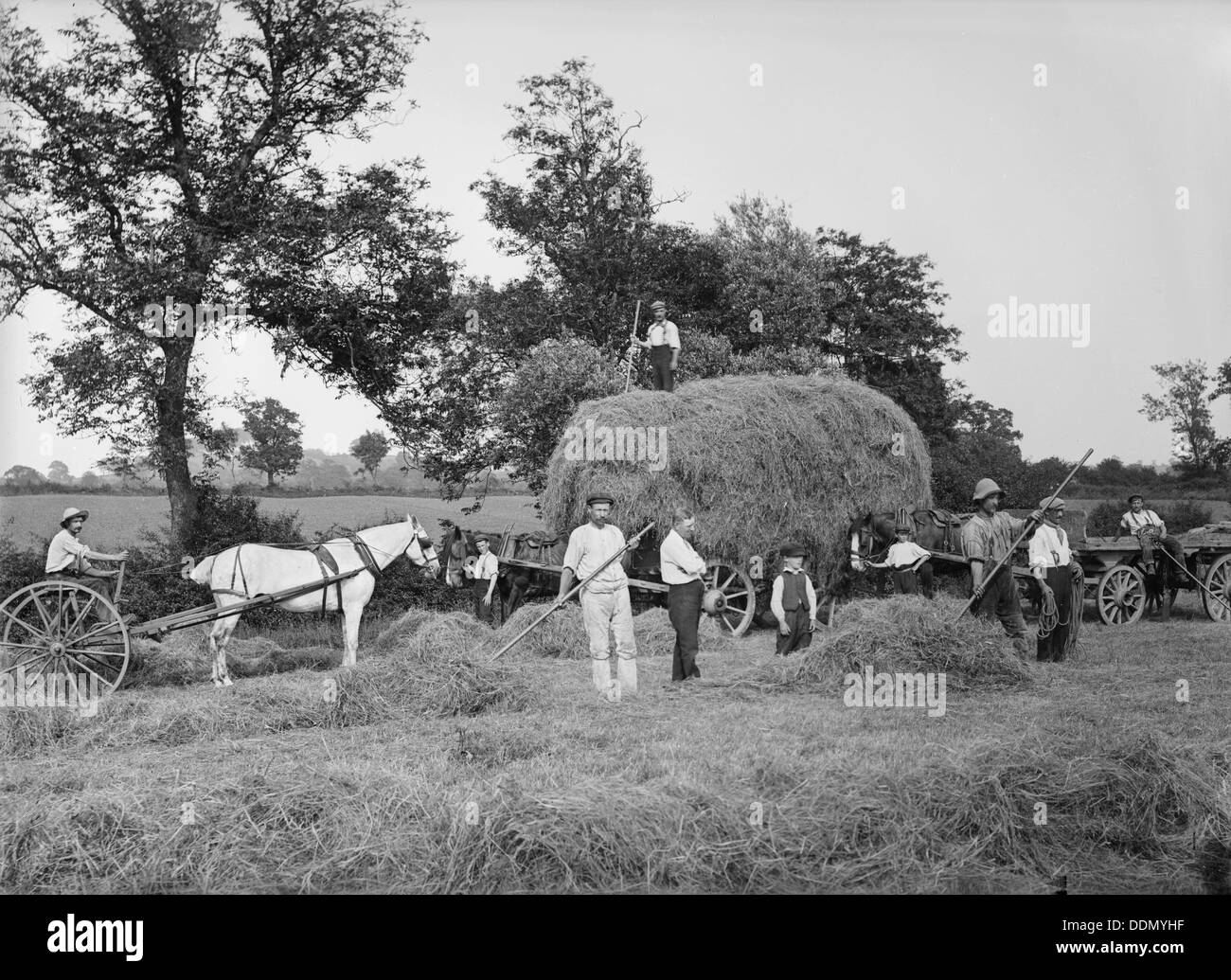 Fienagione vicino Byfield, Northamptonshire, 1908. Artista: Newton Foto Stock