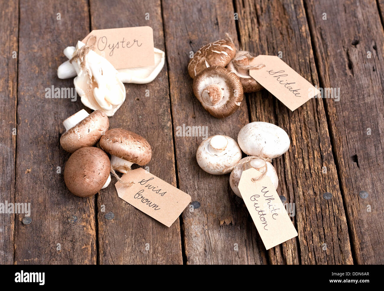 Una selezione di diversi tipi di funghi con tag (Svizzero marrone, pulsante bianco, shitake e ostrica) su un rustico di superficie di legno. Foto Stock