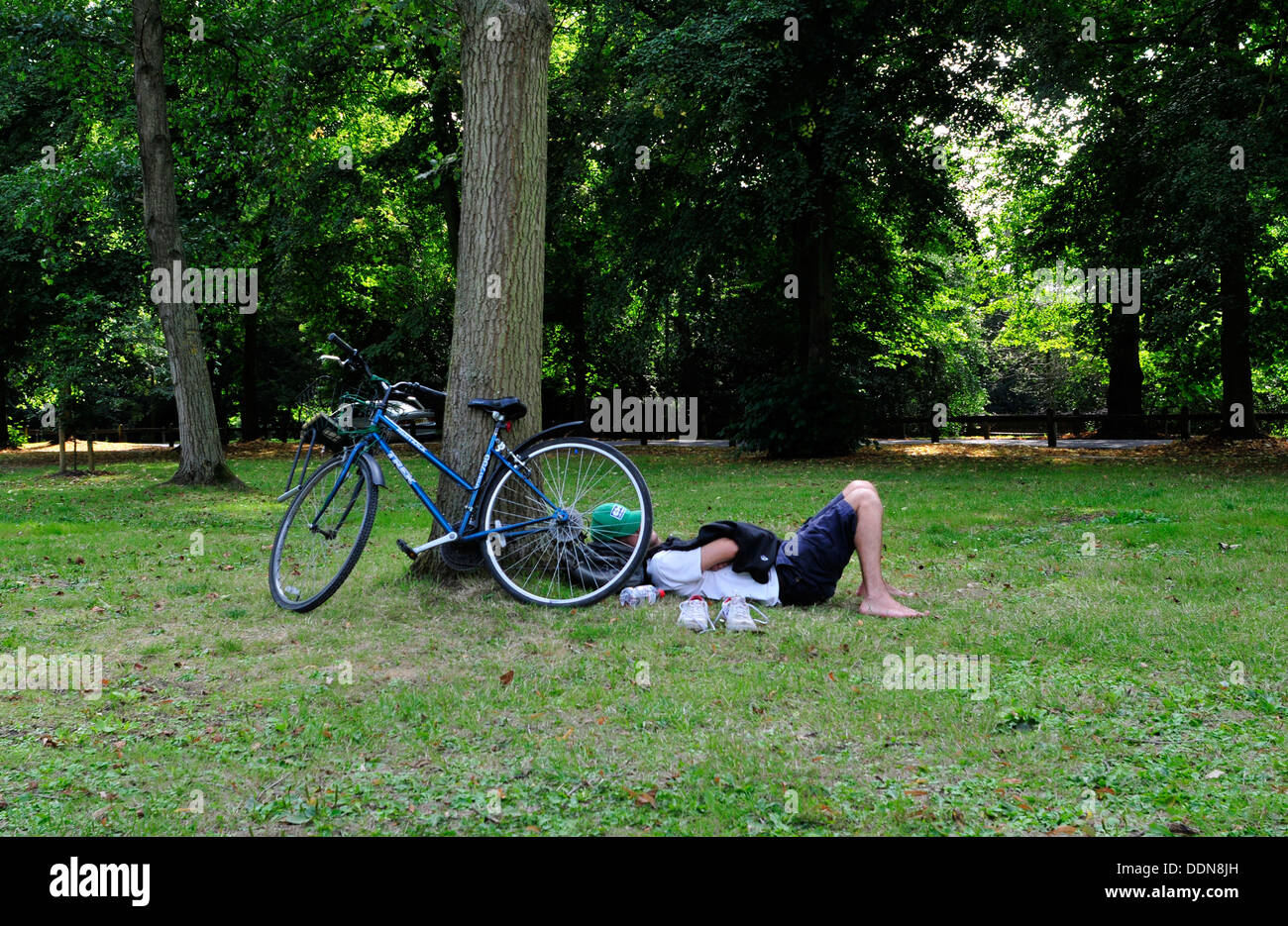 Un uomo dorme in un parco, accanto alla sua bicicletta. Cambridge, Regno Unito Foto Stock