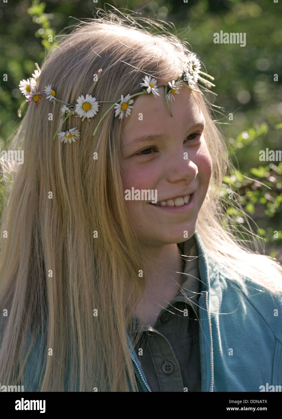 Ghirlanda floreale, corpino di fiori, Daisy, Gänseblümchen-Kranz, Blumenkranz, Kranz aus Blüten, Gänseblümchen, Bellis perennis Foto Stock