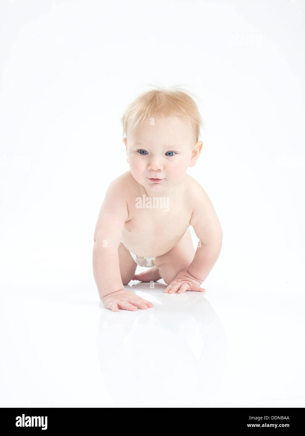 Gattona bambino maschio in pannolini Foto Stock