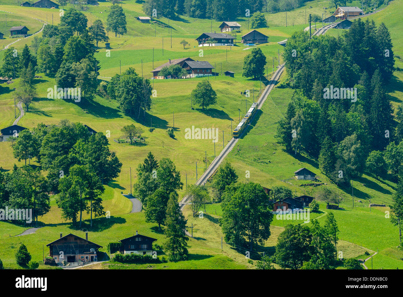 Wengernalpbahn treno su pendii, vicino a Grindelwald, Svizzera Foto Stock
