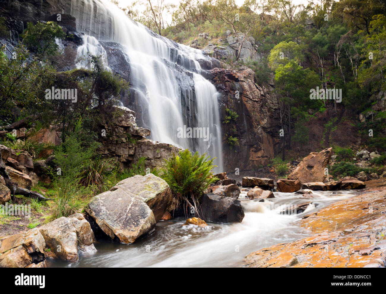 MacKenzie cascata cade nella regione di Grampians di Victoria, Australia Foto Stock