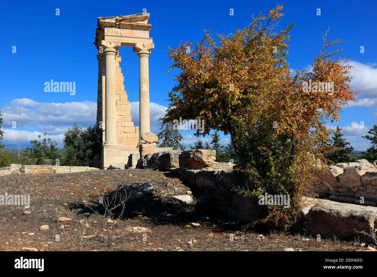 Cipro, Kourion, assiro Ku-ri-ho, antica greca, latina curio Hylates santuario di Apollo, resti di Hylatesheiligtums, histor Foto Stock