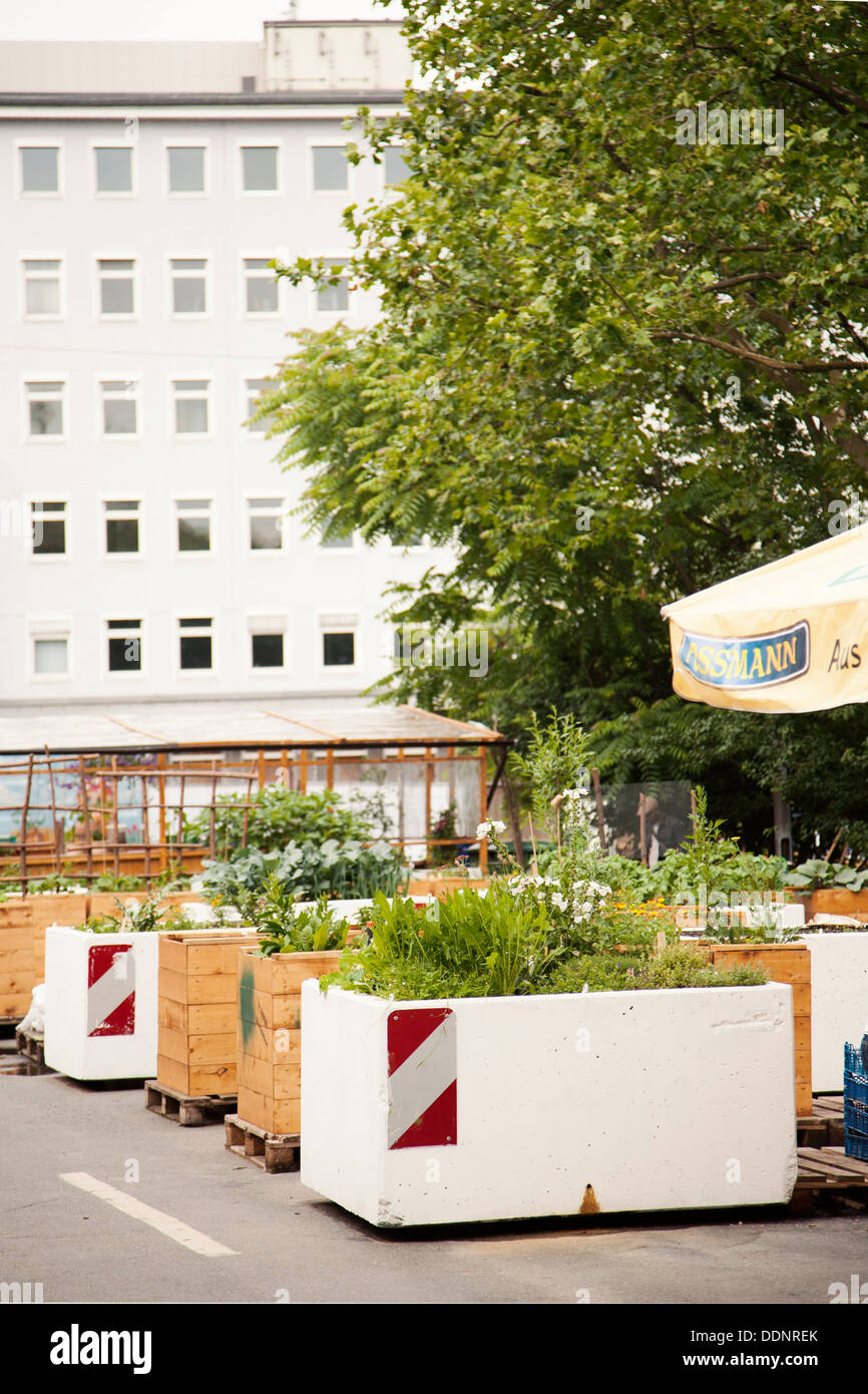 Il giardinaggio urbano, Frankfurt am Main, Hesse, Germania, Europa Foto Stock
