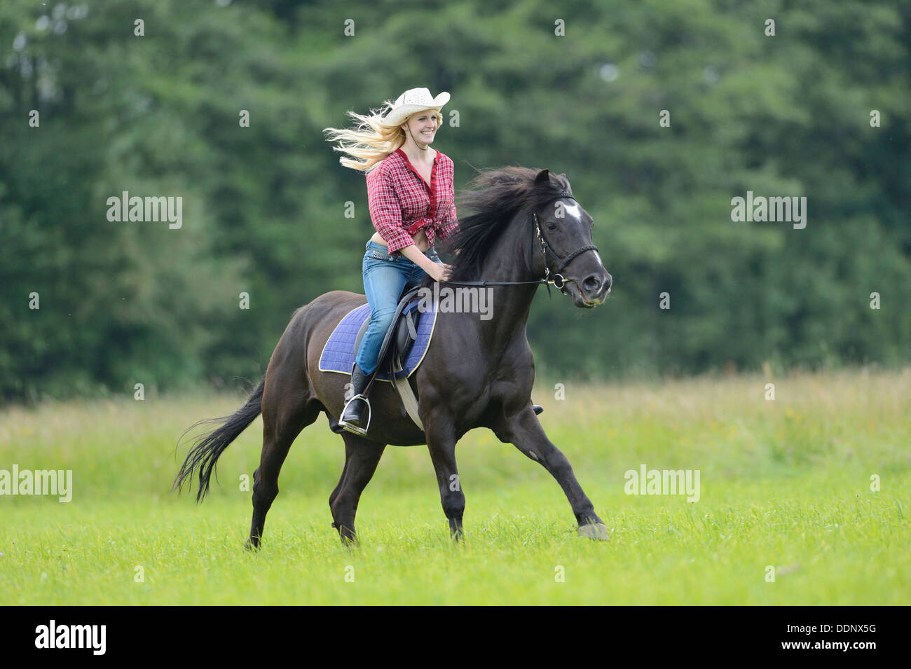 Giovane donna in sella ad un cavallo su un prato Foto Stock