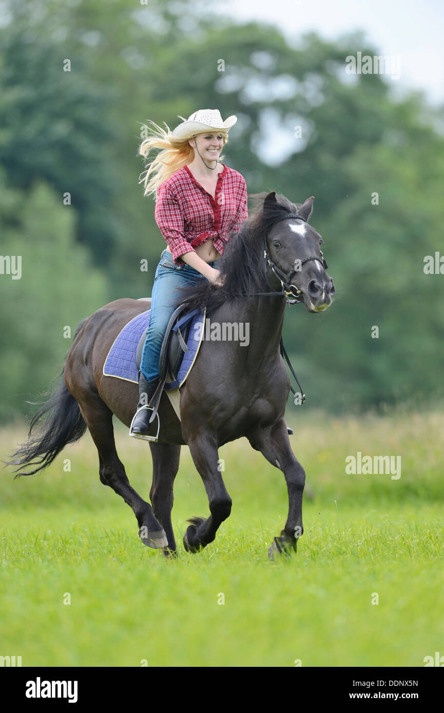 Giovane donna in sella ad un cavallo su un prato Foto Stock