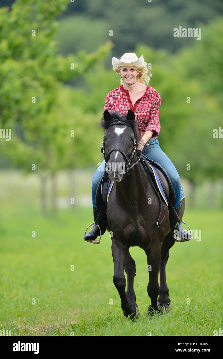 Giovane donna in sella ad un cavallo su un prato Foto Stock