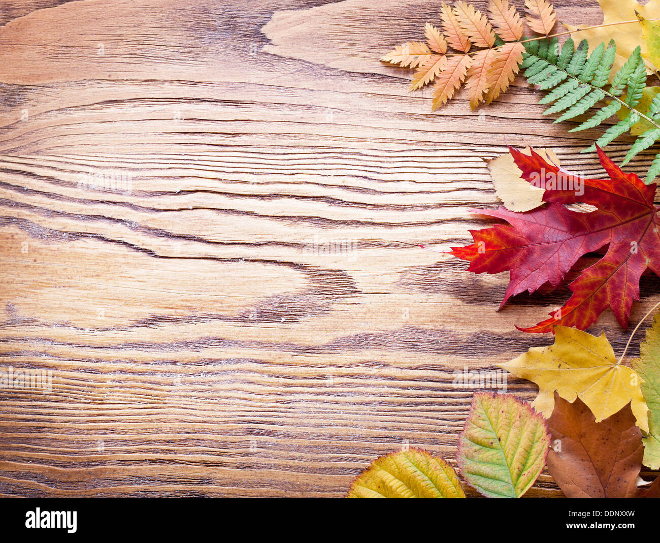 Foglie di autunno su un tavolo di legno. Foto Stock