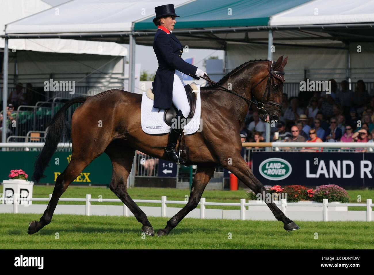 Stamford, Lincolnshire, Regno Unito. 5° settembre 2013. Salvadanaio di equitazione francese Westwood Mariner durante la fase di Dressage del 2013 Land Rover Burghley Horse Trials Credito: Jonathan Clarke/Alamy Live News Foto Stock