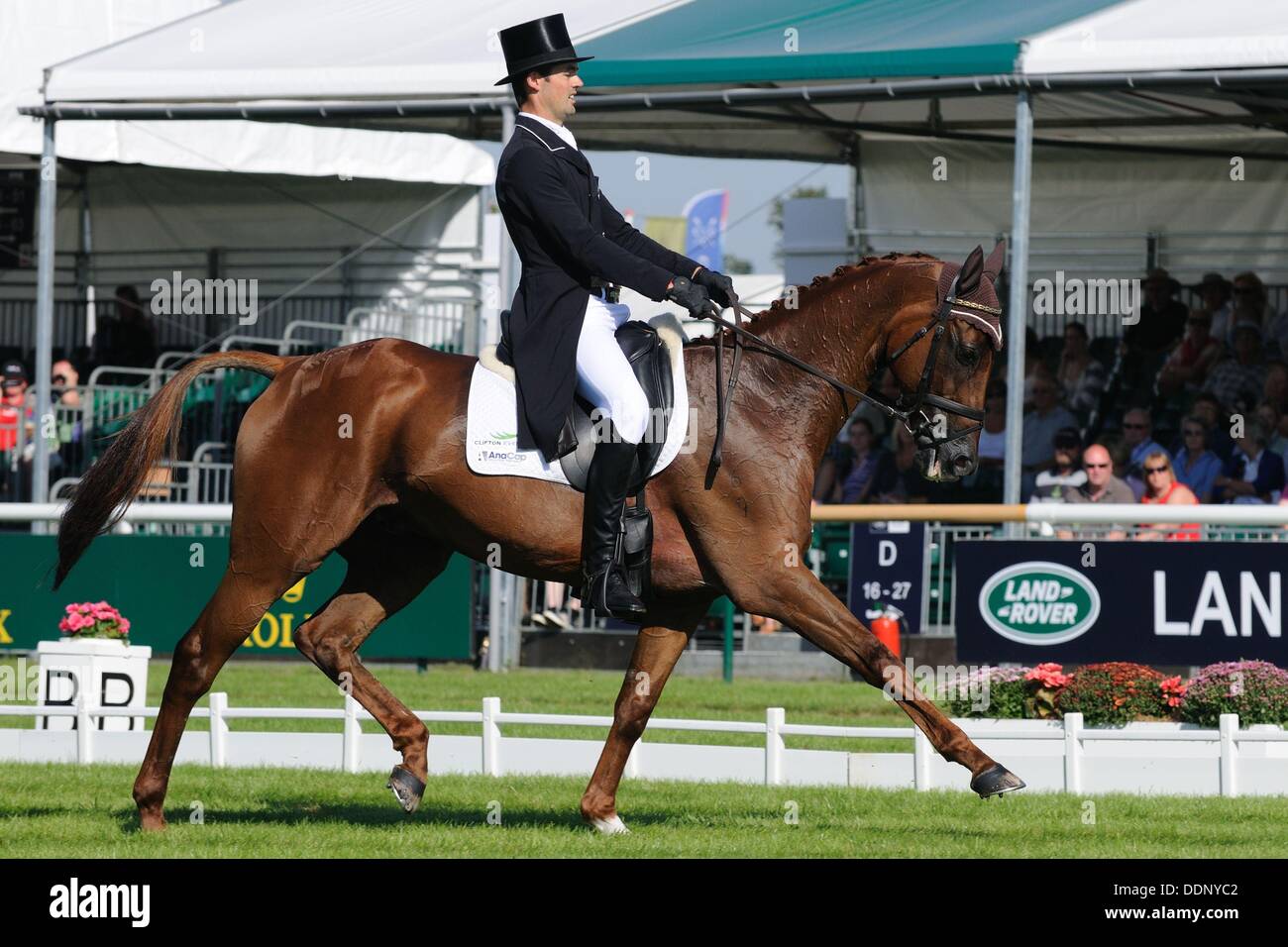 Stamford, Lincolnshire, Regno Unito. 5° settembre 2013. Jonathan Paget riding Clifton lussureggianti durante la fase di Dressage del 2013 Land Rover Burghley Horse Trials Credito: Jonathan Clarke/Alamy Live News Foto Stock