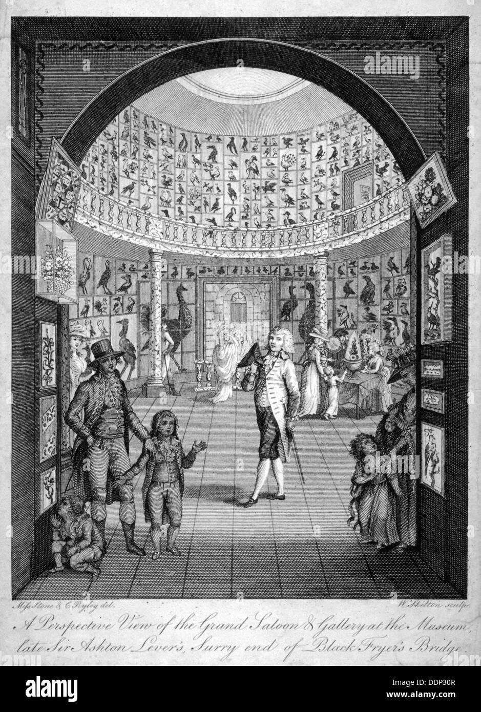 Vista interna del Museo Leverian, Albion Place, Southwark, Londra, c1795. Artista: William Skelton Foto Stock
