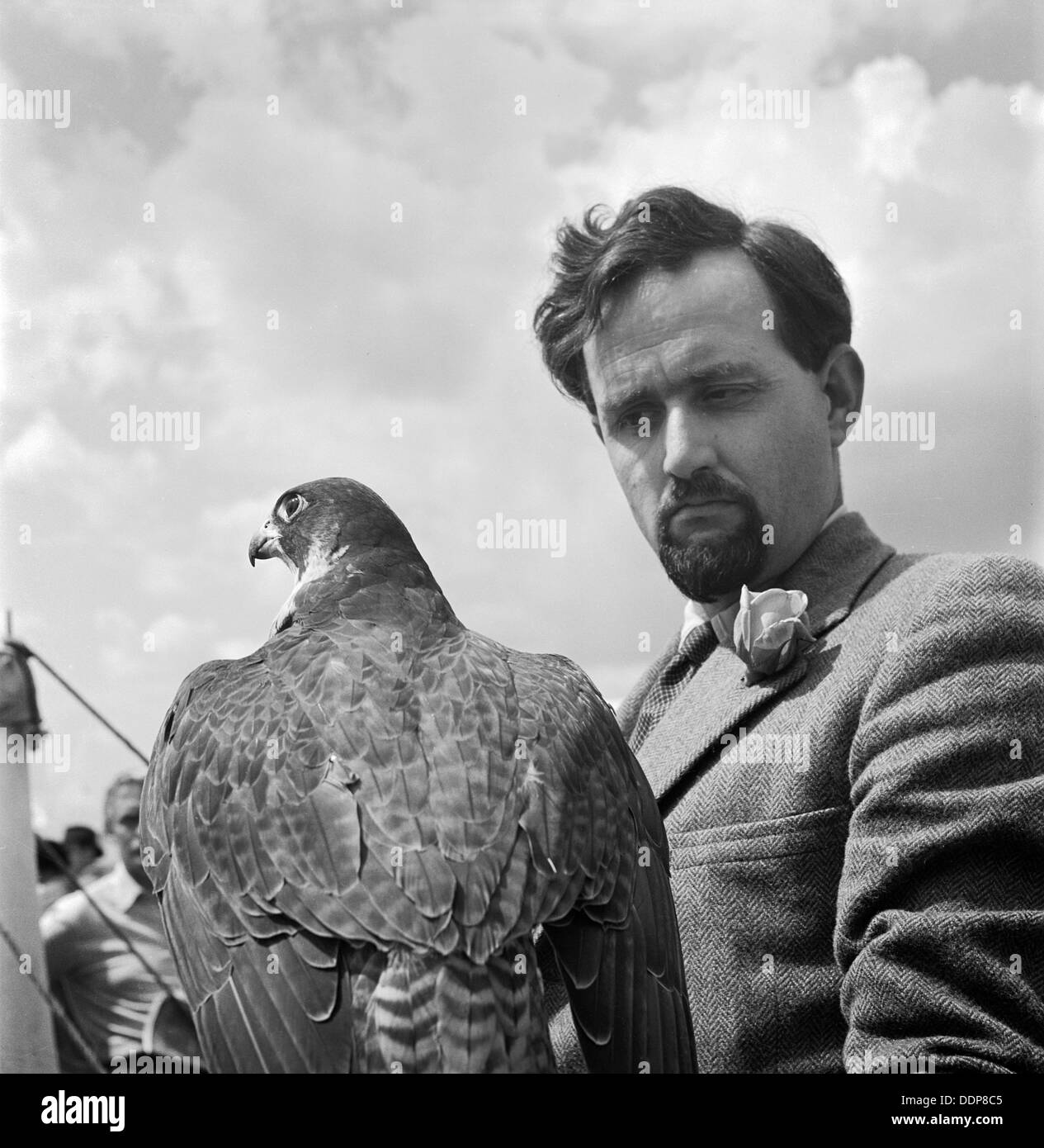 Un falconiere e bird, Windsor Royal Show, Windsor Great Park, C1946-c1959. Artista: John Gay Foto Stock