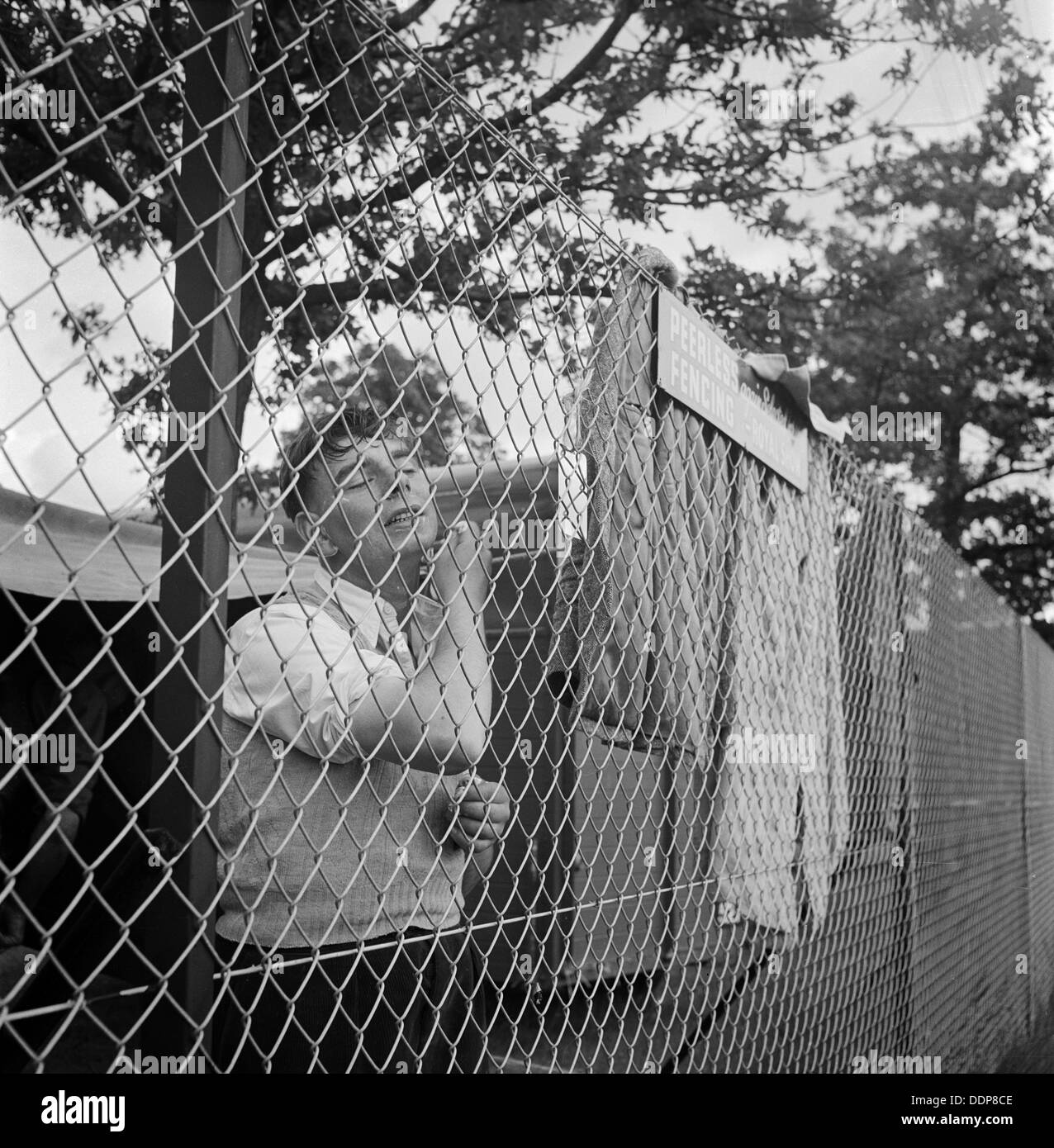 Un uomo la rasatura al Royal Agricultural Show, Newcastle upon Tyne, C1946-c1959. Artista: John Gay Foto Stock