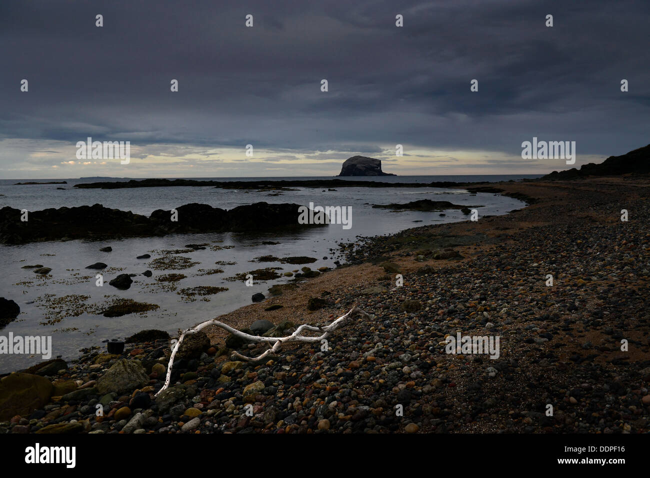 La Bass Rock, East Lothian, Scozia. Regno Unito Foto Stock