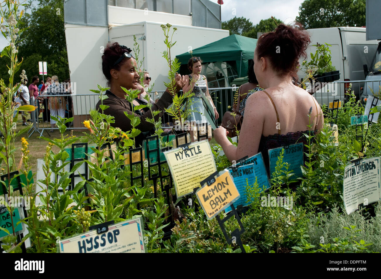 Le erbe culinarie stallo, Lambeth Paese mostrano 2013, Brockwell Park, London, Regno Unito Foto Stock