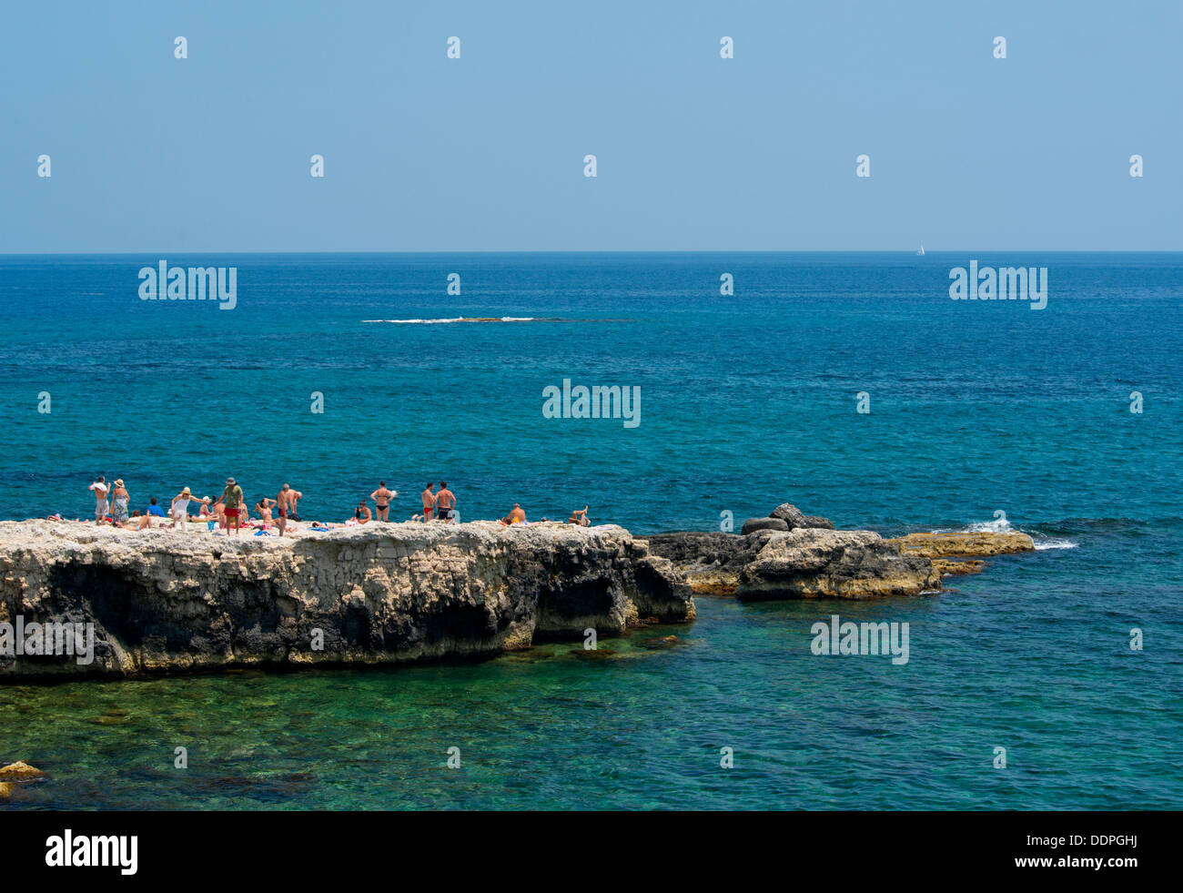 Lucertole da mare e nuotatori su un rocky point off Ortigia, Siracusa, Sicilia, Italia Foto Stock