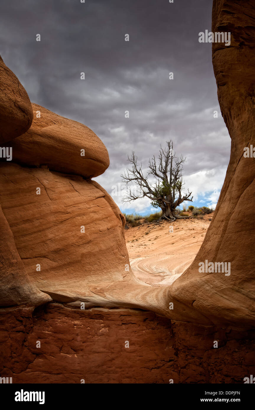 Rocce di arenaria e tempesta di avvicinamento Foto Stock